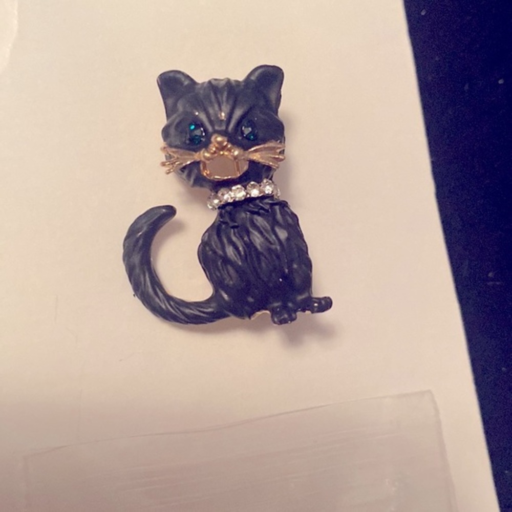 Black cat brooch
